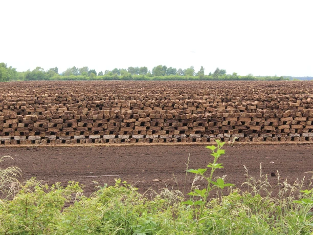 Lichtenmoor Torfstapel in einem ausgedehnten und flachen Landschaftsbereich, umgeben von Vegetation und bewölktem Himmel.