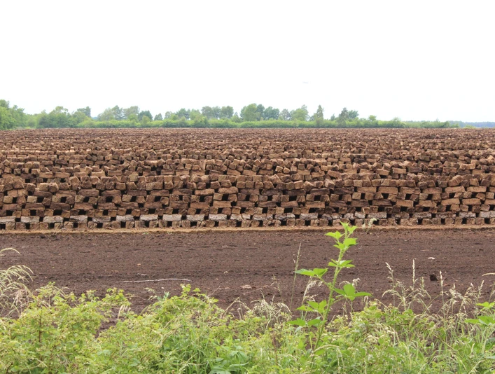 Lichtenmoor Torfstapel in einem ausgedehnten und flachen Landschaftsbereich, umgeben von Vegetation und bewölktem Himmel.