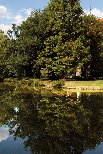 Wasserschloß Holtfeld Historisches Haus mit rotem Dach und Bäumen spiegelt sich idyllisch in einem ruhigen Teich wider.