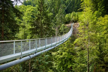 beatenberg-haengebruecke-gruener-wald.jpg