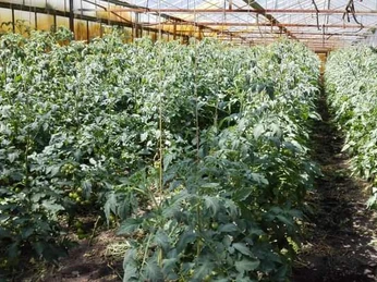 Hofladen Hörtemöller