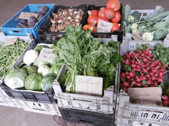 Hofladen Hörtemöller