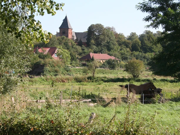 St.-Sigismund-Kirche in Daverden Blick auf die St.-Sigismund-Kirche, umgeben von grüner Landschaft und Bäumen, im Hintergrund sichtbar.