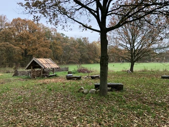 A rustic wooden shelter stands in a meadow, surrounded by trees with autumn foliage.