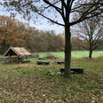 Ein rustikaler Unterstand aus Holz steht auf einer Wiese, umgeben von Bäumen im Herbstlaub.