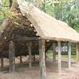 Rekonstruktion eines historischen altsächsischen Langhauses mit strohgedecktem Dach in einem Wald.
