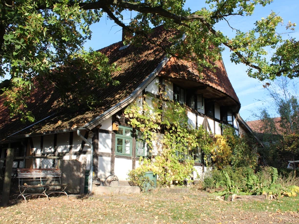 Storchenmuseum Windheim "Haus Heimat Himmel" Fachwerkhaus mit bewachsenem Giebel unter einem sonnigen Himmel, im herbstlichen Ambiente gelegen.