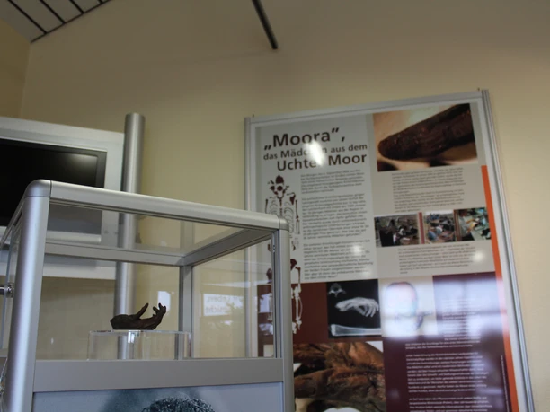 Ausstellung Tor zum Moor Das Museumsdisplay zeigt eine Vitrine mit einem kleinen Ausstellungsstück im Detail, begleitet von erklärenden Texten und Bildern an einer Wand.