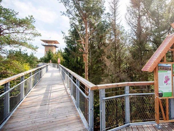 wildpark-luenburger-heide-baumwipfelpfad.jpg
