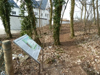 Ein Wanderweg führt durch einen lichten Wald, gesäumt von Schildern, die historische Bedeutung erläutern.
