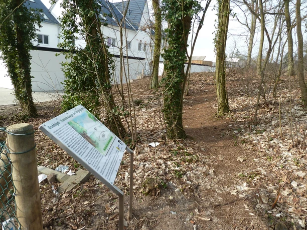 Hügelgrab in Baden Ein Wanderweg führt durch einen lichten Wald, gesäumt von Schildern, die historische Bedeutung erläutern.