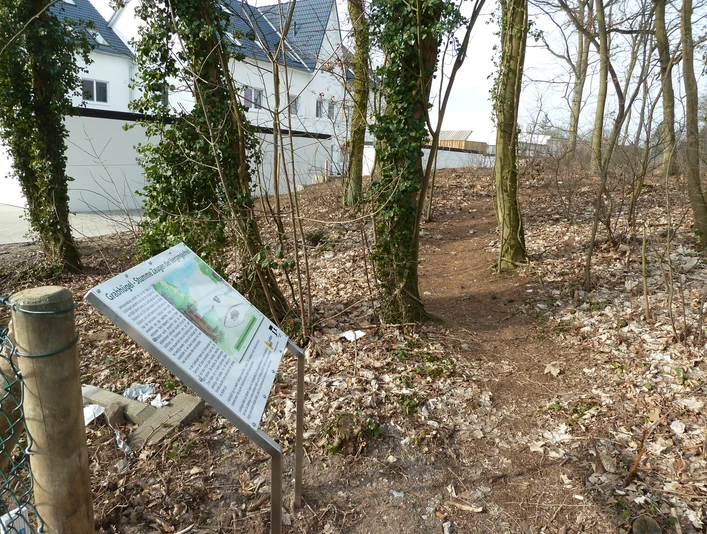 Hügelgrab in Baden Ein Wanderweg führt durch einen lichten Wald, gesäumt von Schildern, die historische Bedeutung erläutern.