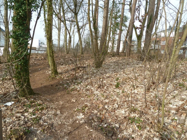 Ein unbefestigter Wanderpfad führt durch einen lichten, blattbedeckten Wald hin zu einem Hügelgrab.
