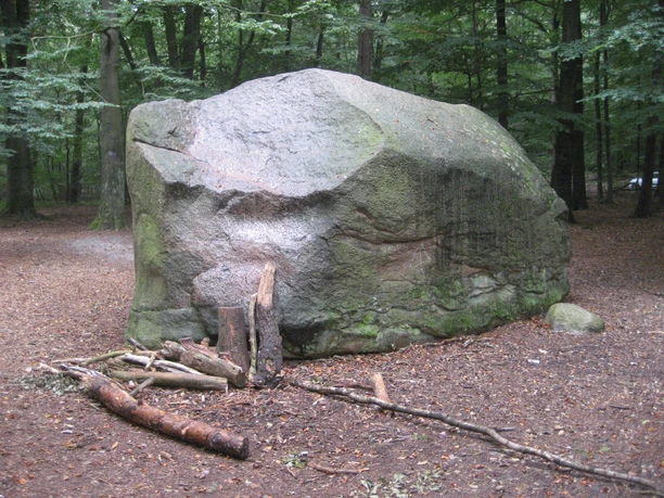 Großer Findling im Wald mit umgestürzten Holzstücken davor, eingebettet in ruhiger, natürlicher Umgebung.