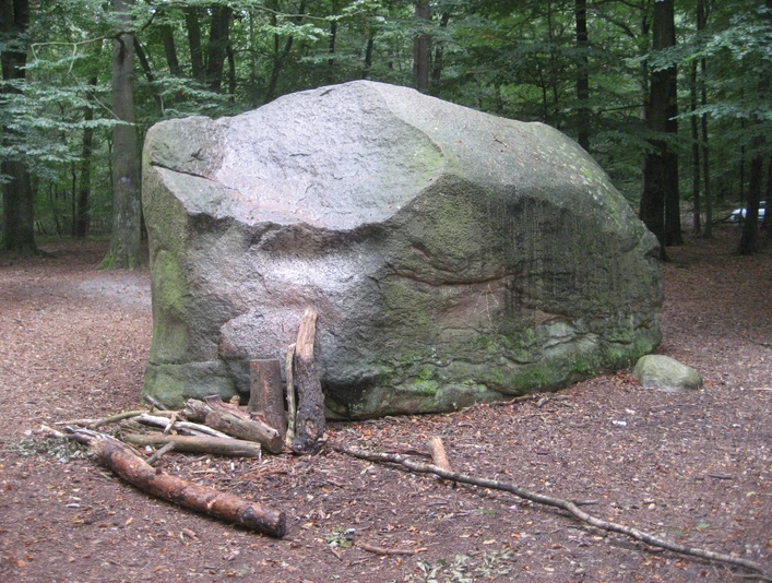 Großer Findling im Wald mit umgestürzten Holzstücken davor, eingebettet in ruhiger, natürlicher Umgebung.