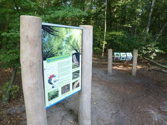 Holzstelen mit Informationstafeln im Achimer Stadtwald führen durch eine waldreiche Umgebung.