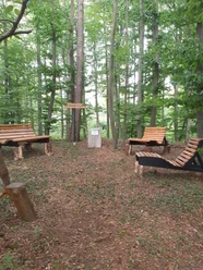 Hummerser Baumkronen-Meditationsplatz Ruhiger Meditationsbereich im Wald mit mehreren Holzbänken und einem zentralen Info-Stein.