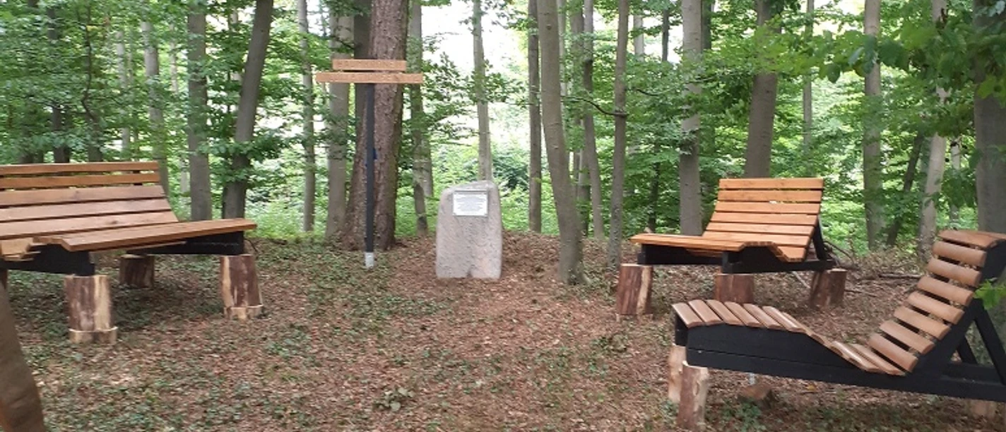 Hummerser Baumkronen-Meditationsplatz Ruhiger Meditationsbereich im Wald mit mehreren Holzbänken und einem zentralen Info-Stein.