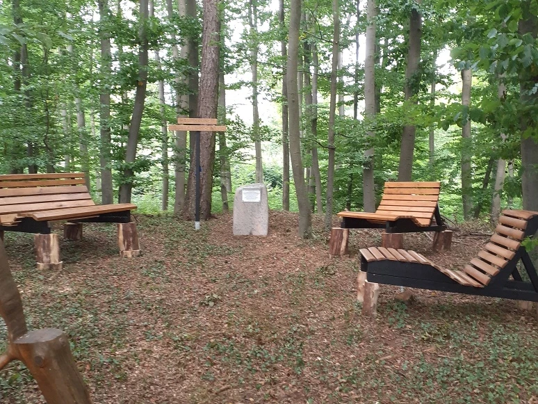 Hummerser Baumkronen-Meditationsplatz Ruhiger Meditationsbereich im Wald mit mehreren Holzbänken und einem zentralen Info-Stein.