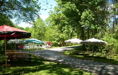 Outdoor area of a snack bar with benches and sunshades in the forest, offers shade and peace.