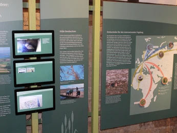 ÖSSM Winzlar Infotafeln über Vogelschutz mit Karten und Bildern im ÖSSM Winzlar, Niedersachsen, bieten Einblicke.