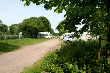 Wohnmobilstellplatz am Schloss Erbhof Wohnmobilstellplatz am Schloss Erbhof im Grünen, mit mehreren geparkten Wohnmobilen und Bäumen.