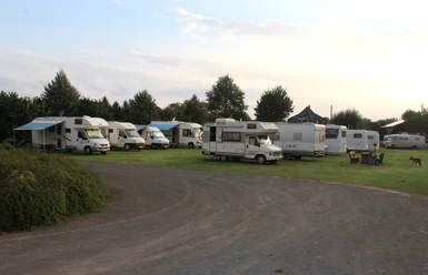 Wohnmobilstellplätze in Bruchhausen-Vilsen auf grünem Rasen, umgeben von Bäumen und Sträuchern.