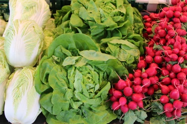 Wochenmarkt Frisch geerntete Salatköpfe, knackige Radieschen und Chinakohl liegen in appetitlichen Reihungen.