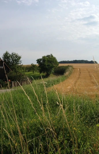 Aerzen - Hansaweg Wanderweg mit Wegweiser am Feldrand, einladender Ausblick auf Wiesen und einen bewölkten Himmel.