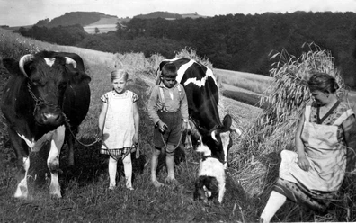 Eine Frau mit zwei Kindern und einem Hund steht neben Kühen auf einer Wiese, umgeben von Feldern.