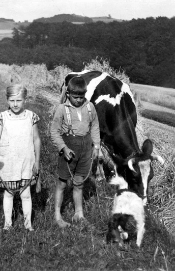 Eine Frau mit zwei Kindern und einem Hund steht neben Kühen auf einer Wiese, umgeben von Feldern.
