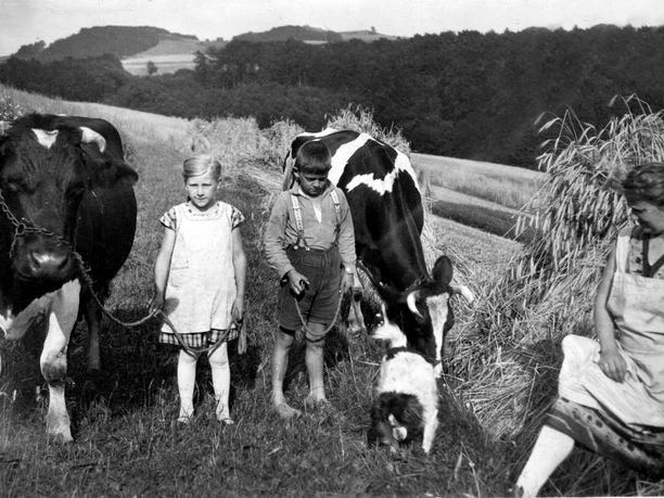 Eine Frau mit zwei Kindern und einem Hund steht neben Kühen auf einer Wiese, umgeben von Feldern.