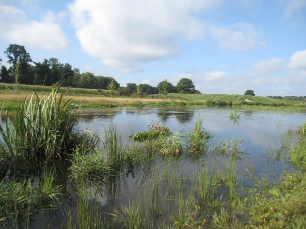 Landschaft mit ruhigem Fluss, umsäumt von grünen Wiesen und Bäumen unter blauem Himmel mit Wolken.