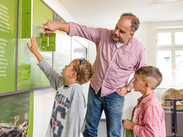 Naturparkhaus Dübener Heide