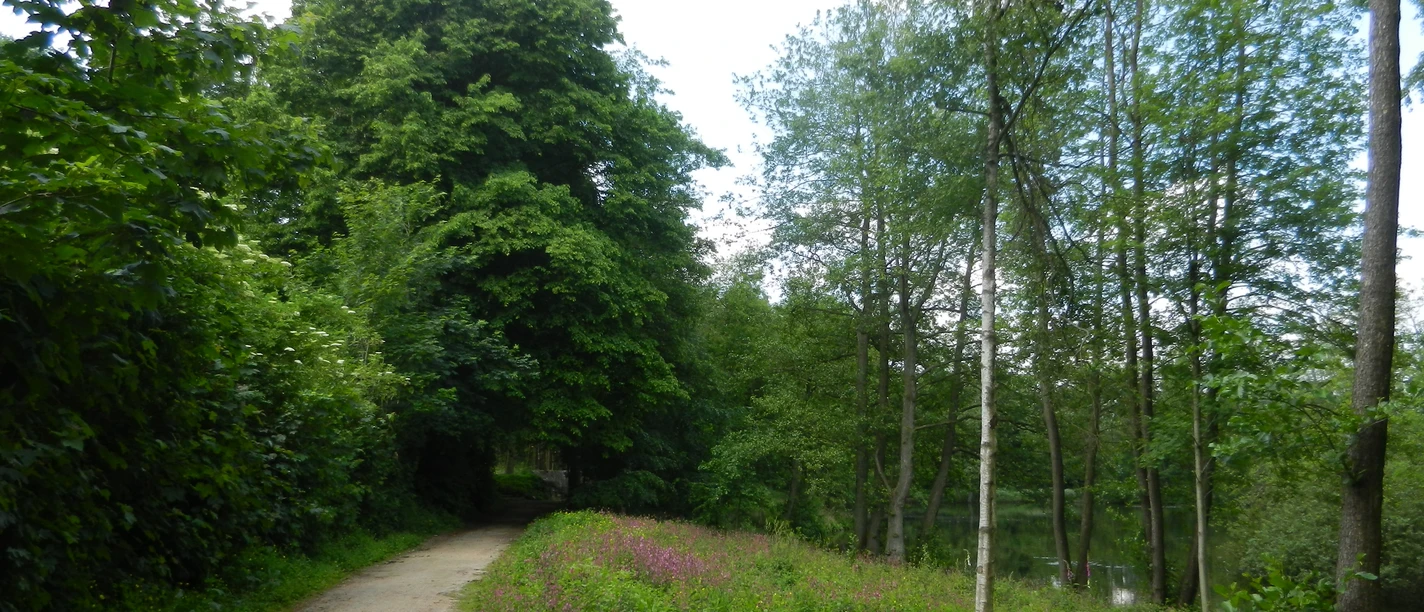 Thorsberger_Moor_Süderbrarup_Jasmin_Juhl (13).jpg