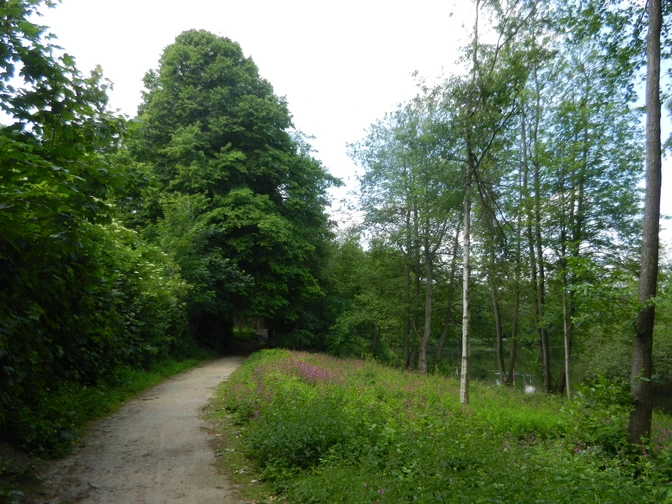 Thorsberger_Moor_Süderbrarup_Jasmin_Juhl (13).jpg