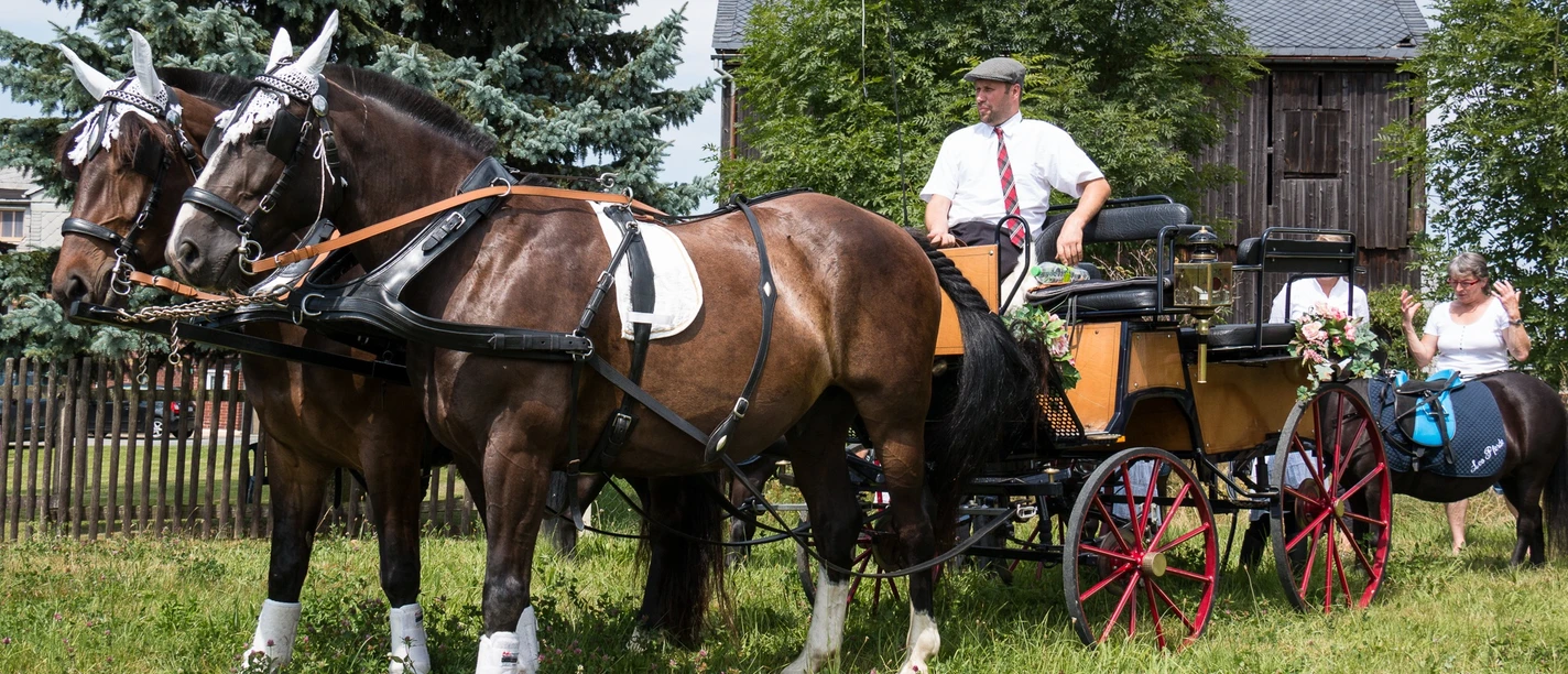 Erlbacher Postkutsche