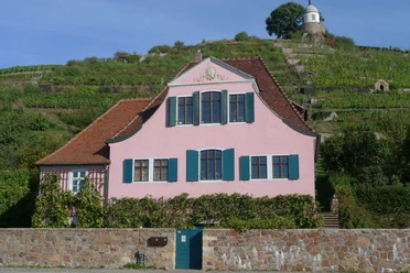 Weingut Fliegenwedel Vorderansicht