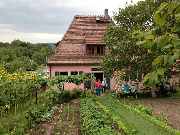 Weingut Fliegenwedel Rückansicht Weingut Fliegenwedel Rückansicht