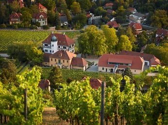 Gesamtanlage Hoflößnitz