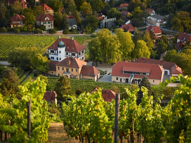 Gesamtanlage Hoflößnitz