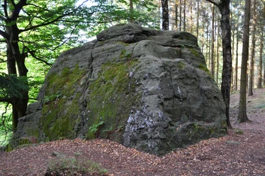 Fauler Jäger Ein großer, moosbewachsener Felsen im Wald, umgeben von Bäumen und bedeckt mit Herbstlaub.