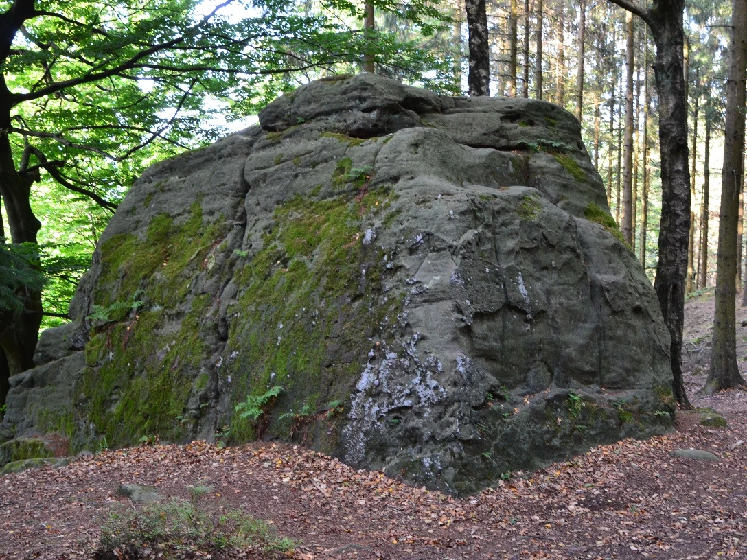 Fauler Jäger Ein großer, moosbewachsener Felsen im Wald, umgeben von Bäumen und bedeckt mit Herbstlaub.