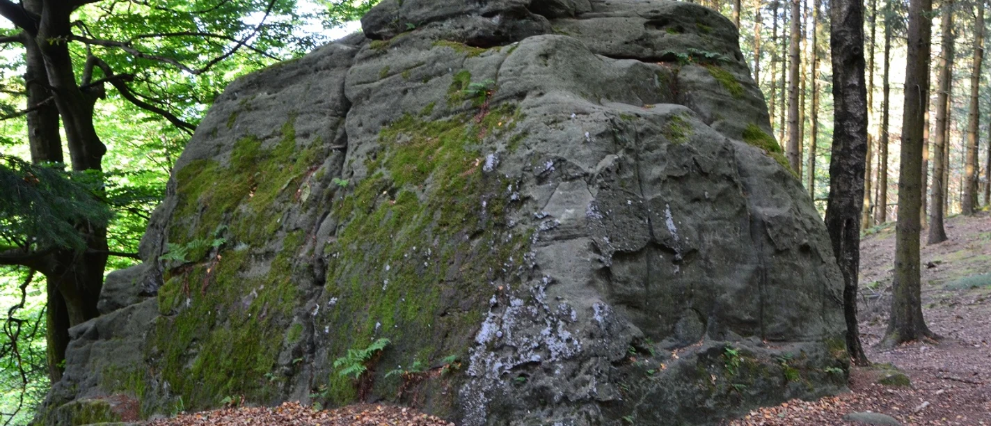 Fauler Jäger Ein großer, moosbewachsener Felsen im Wald, umgeben von Bäumen und bedeckt mit Herbstlaub.