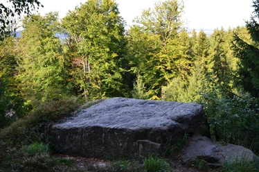 Opferstein an der Gertrudskammer Großer, flacher Stein im Wald, umgeben von hohen Bäumen, eignet sich als Rastplatz in der Natur.