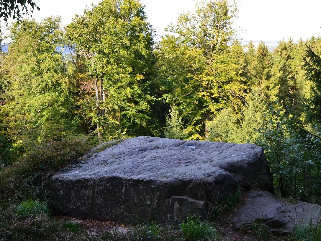 Opferstein an der Gertrudskammer Großer, flacher Stein im Wald, umgeben von hohen Bäumen, eignet sich als Rastplatz in der Natur.