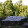 Opferstein an der Gertrudskammer Großer, flacher Stein im Wald, umgeben von hohen Bäumen, eignet sich als Rastplatz in der Natur.