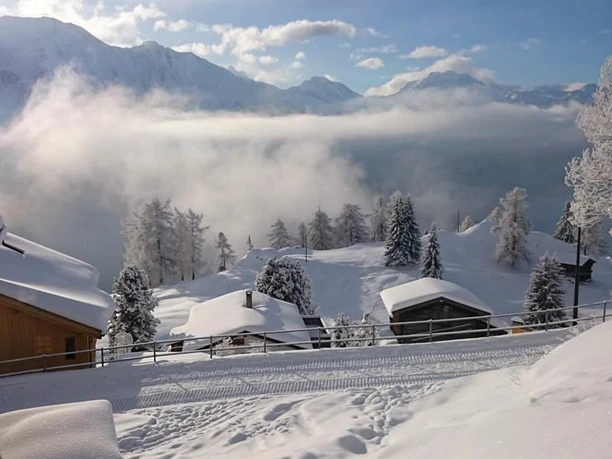 morgendlicher Blick aus dem Fenster nach Süden