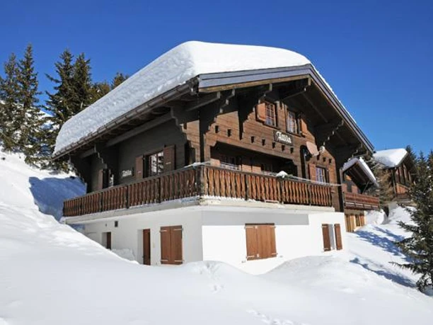 Einzelchalet Attila