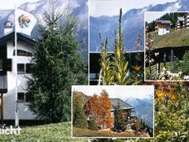 Aussenansicht Sommer2